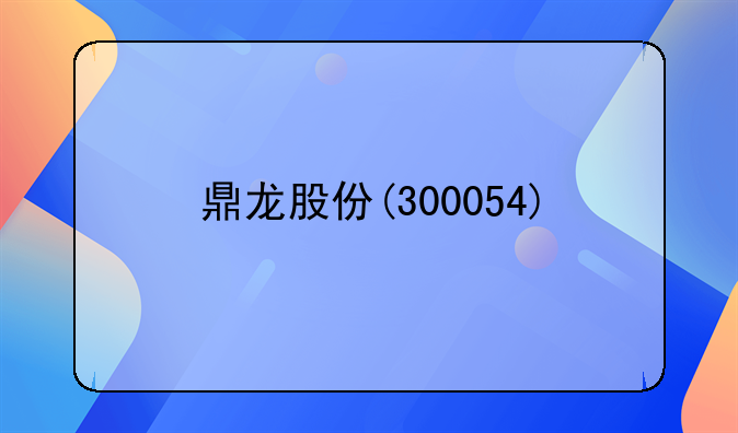 鼎龙股份(300054)